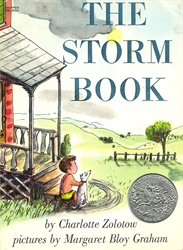 Storm Book
