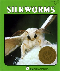 Silkworms