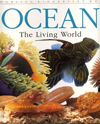 Ocean