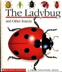 Ladybug and Other Insects