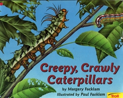 Creepy, Crawly Caterpillars