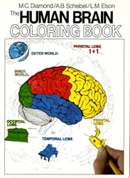 Human Brain Coloring Book