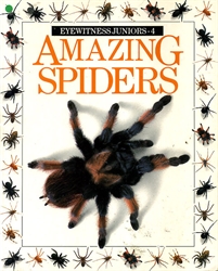 Amazing Spiders