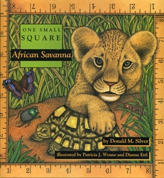One Small Square: African Savanna