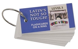 Latin's Not So Tough! 3 - Flashcards