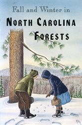 Fall and Winter in North Carolina Forests