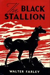 Black Stallion