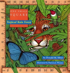 One Small Square: Tropical Rain Forest