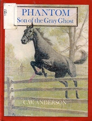 Phantom, Son of the Gray Ghost