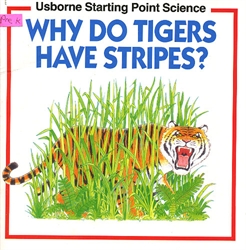 Why Do Tigers Have Stripes?