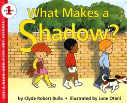 What Makes a Shadow?