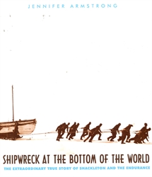 Shipwreck at the Bottom of the World