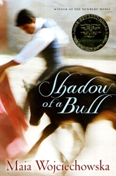 Shadow of a Bull