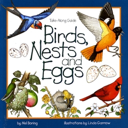 Birds, Nests and Eggs
