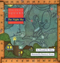 One Small Square: The Night Sky