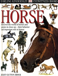 DK Eyewitness: Horse