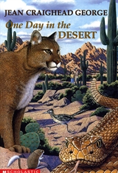 One Day in the Desert