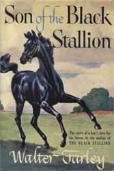 Son of the Black Stallion