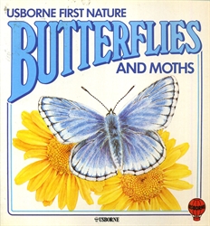 Usborne First Nature - Butterflies & Moths