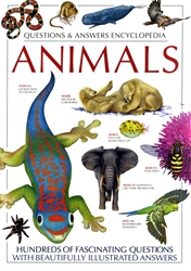 Questions & Answers Encyclopedia - Animals