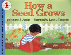 How a Seed Grows