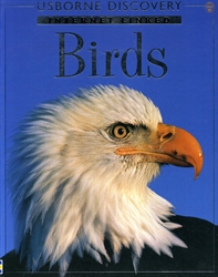 Usborne Discovery: Birds