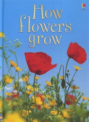 How Flowers Grow