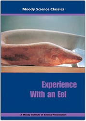 Experience with an Eel DVD