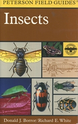 Peterson Field Guide to Insects