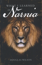 What I Learned in Narnia