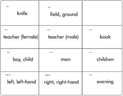 Second Form Latin - Flashcards (old)