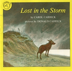 reading level lost in the storm carrick reading level lost in the storm carrick