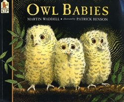 Owl Babies