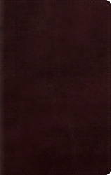 ESV Large Print Personal Size Bible
