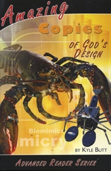Amazing Copies of God's Design