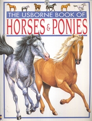 Usborne Book of Horses and Ponies