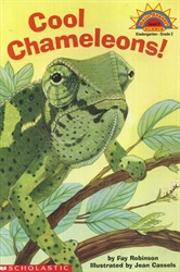 Cool Chameleons!