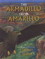 Armadillo from Amarillo