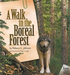 Walk in the Boreal Forest