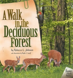 Walk in the Deciduous Forest