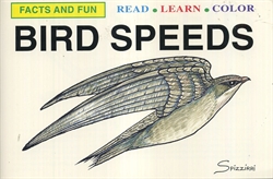 Bird Speeds