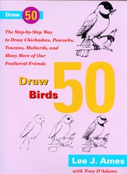 Draw 50 Birds