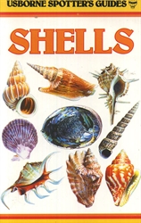 Shells