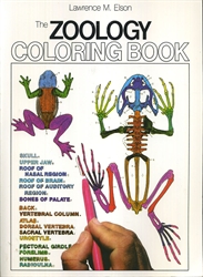 Zoology Coloring Book