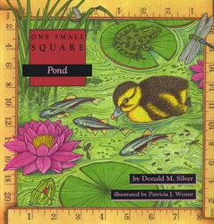 One Small Square: Pond