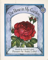 Rose in My Garden