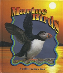 Marine Birds