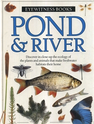 DK Eyewitness: Pond & River