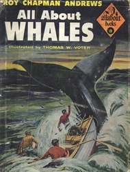 All About Whales