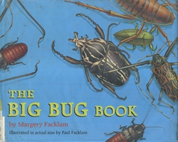 Big Bug Book